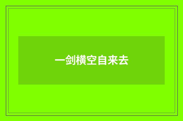 一剑横空自来去