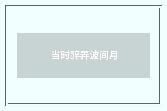 当时醉弄波间月