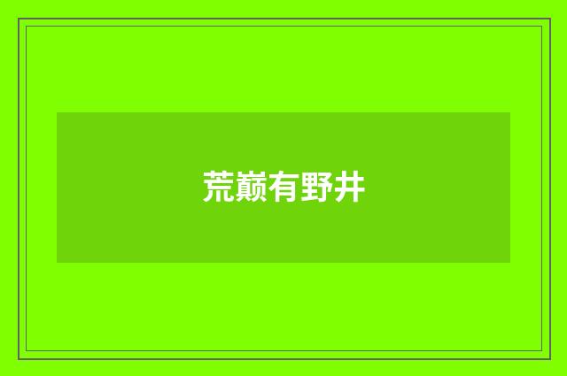 荒巅有野井