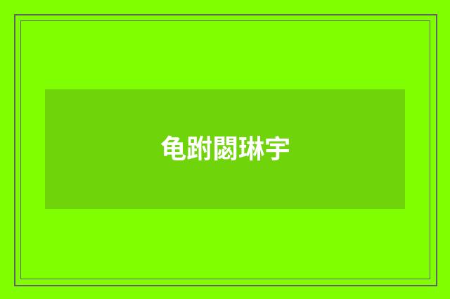 龟跗閟琳宇