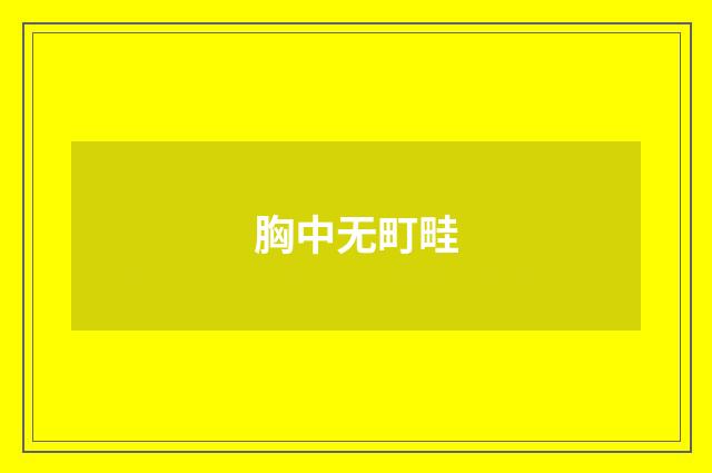 胸中无町畦