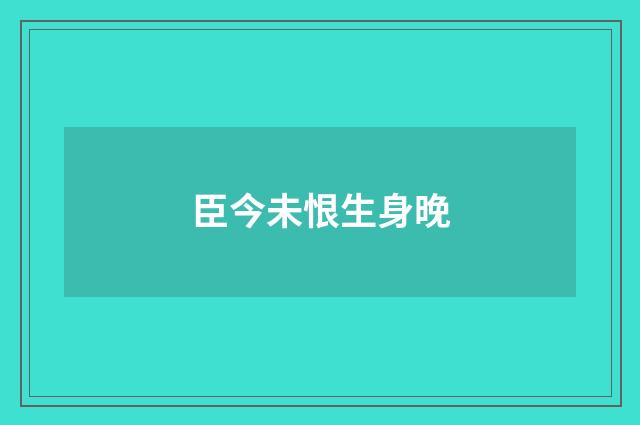 臣今未恨生身晚
