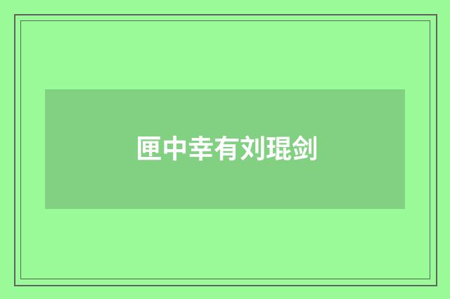 匣中幸有刘琨剑