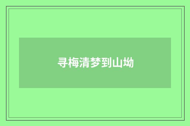 寻梅清梦到山坳