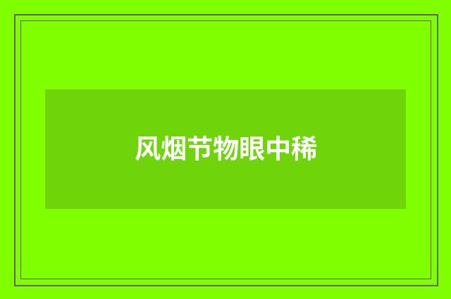 风烟节物眼中稀