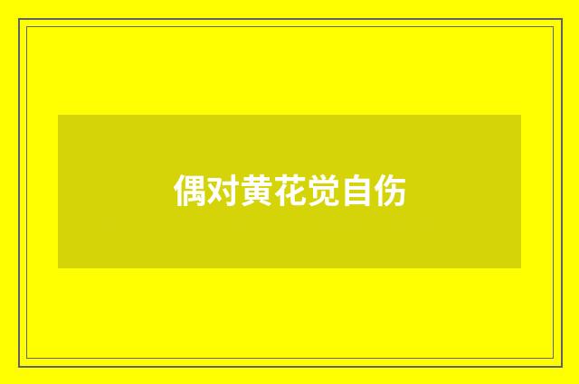 偶对黄花觉自伤