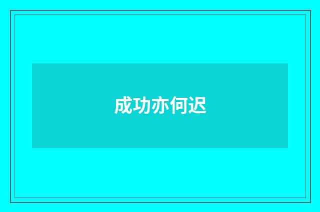成功亦何迟