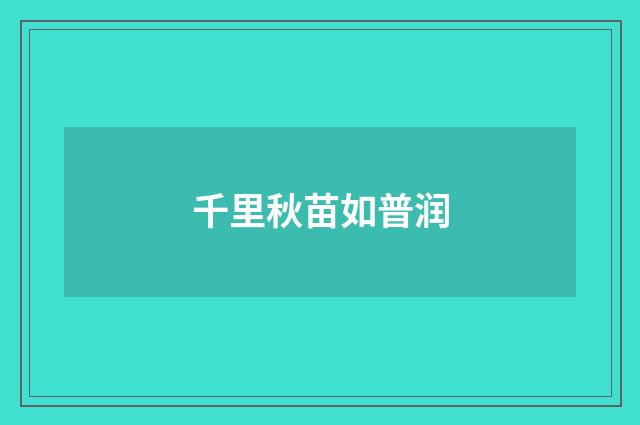 千里秋苗如普润