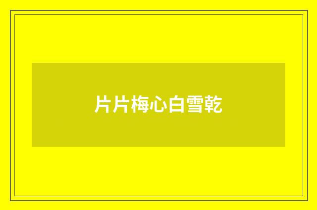 片片梅心白雪乾