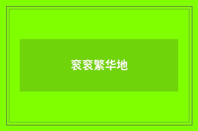 衮衮繁华地