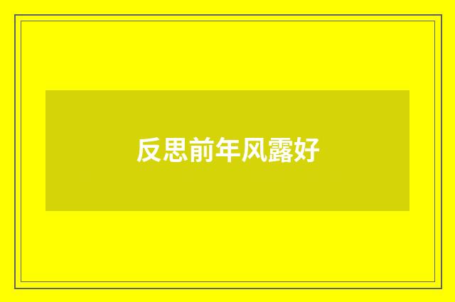 反思前年风露好