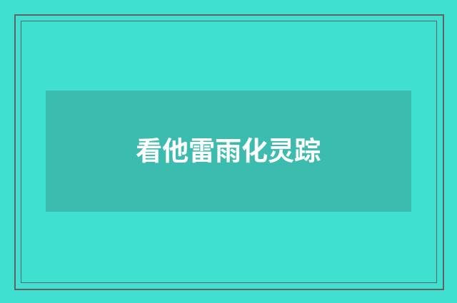 看他雷雨化灵踪
