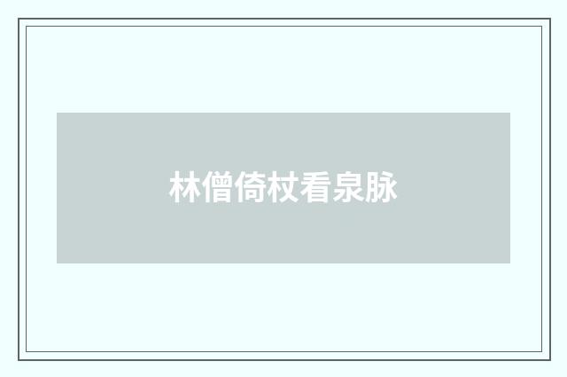 林僧倚杖看泉脉