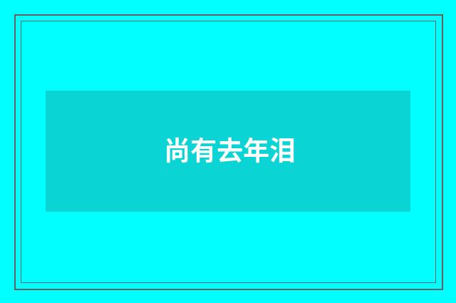 尚有去年泪