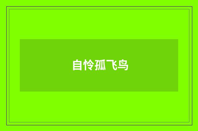 自怜孤飞鸟