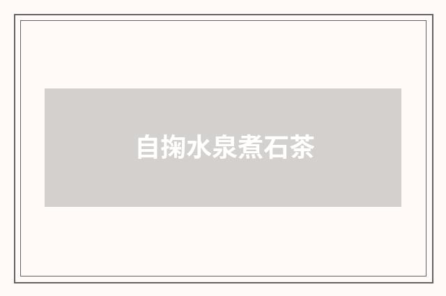 自掬水泉煮石茶