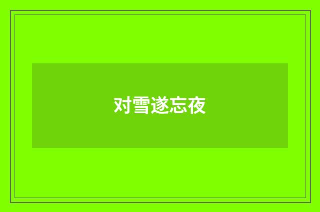 对雪遂忘夜