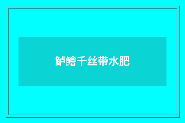鲈鱠千丝带水肥