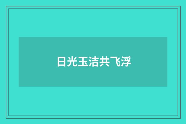 日光玉洁共飞浮