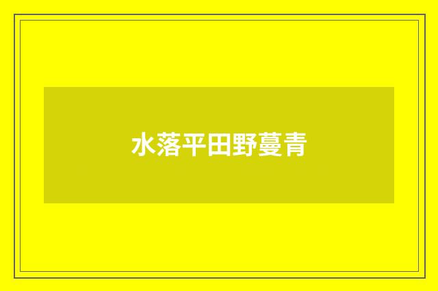 水落平田野蔓青