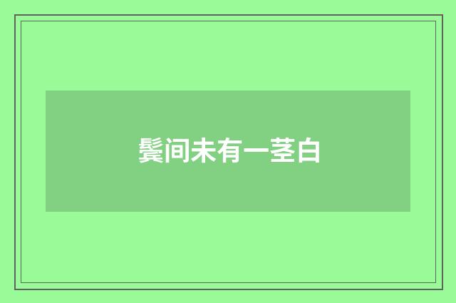 鬓间未有一茎白