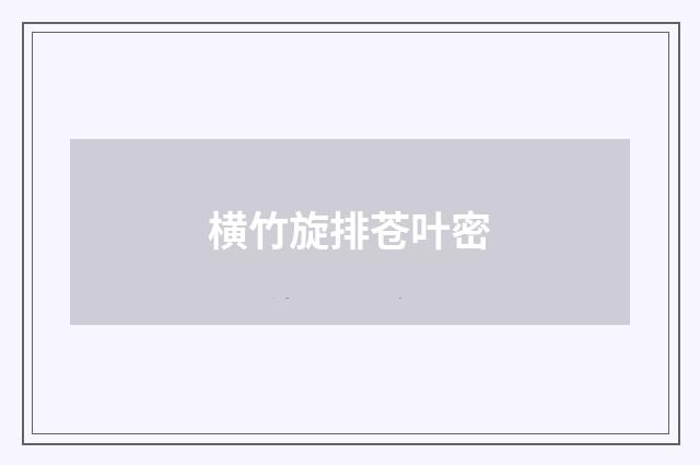 横竹旋排苍叶密