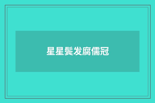 星星鬓发腐儒冠