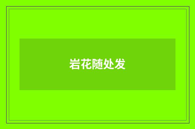 岩花随处发