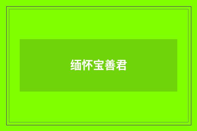 缅怀宝善君