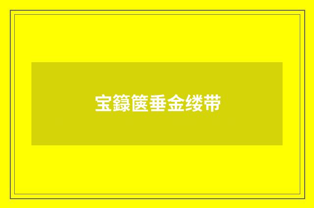 宝籙箧垂金缕带