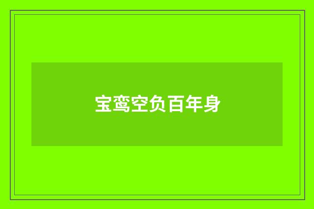 宝鸾空负百年身