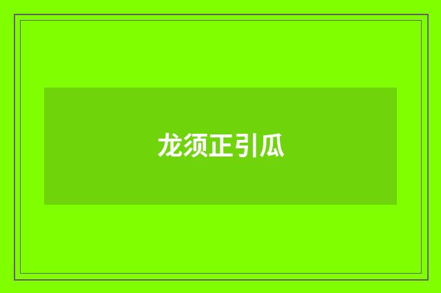 龙须正引瓜
