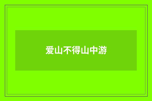 爱山不得山中游