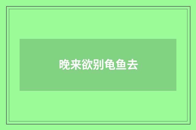 晚来欲别龟鱼去