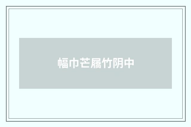 幅巾芒屩竹阴中