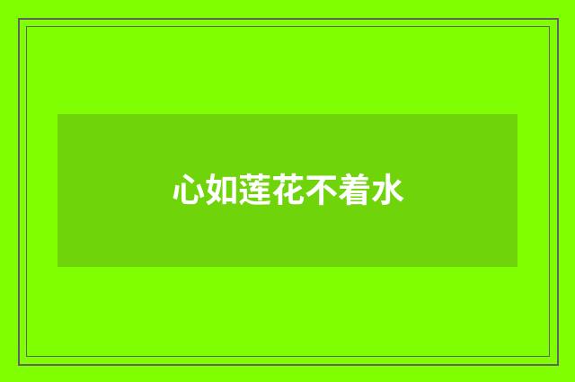 心如莲花不着水