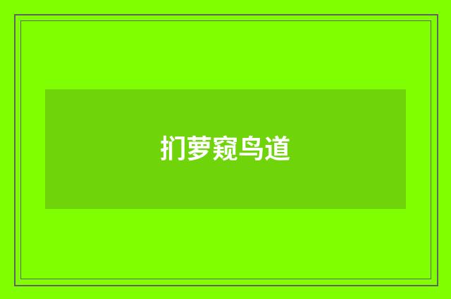 扪萝窥鸟道