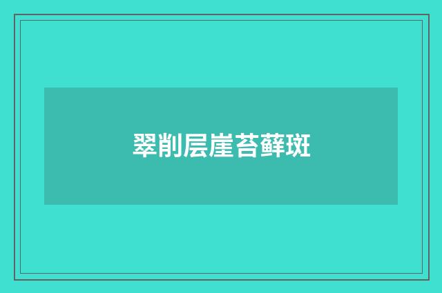 翠削层崖苔藓斑