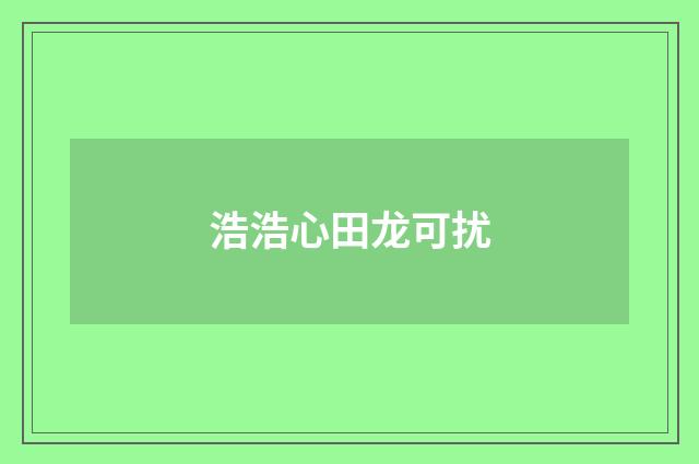 浩浩心田龙可扰