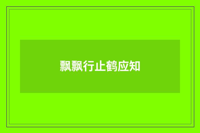 飘飘行止鹤应知