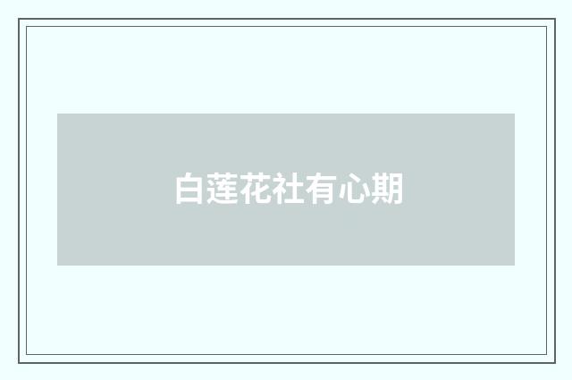 白莲花社有心期