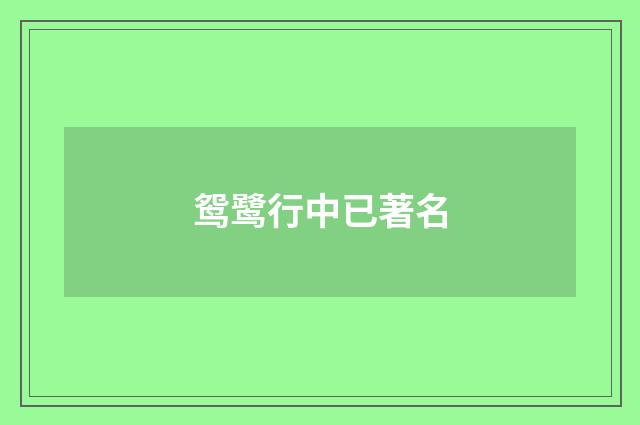 鸳鹭行中已著名