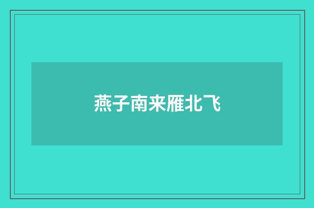 燕子南来雁北飞