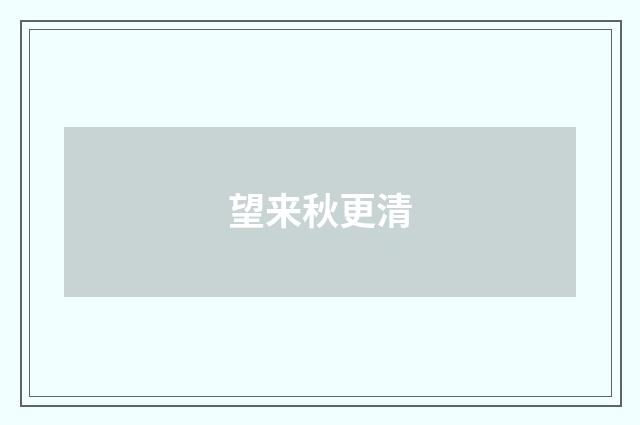 望来秋更清