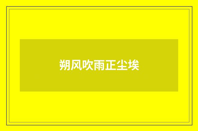 朔风吹雨正尘埃