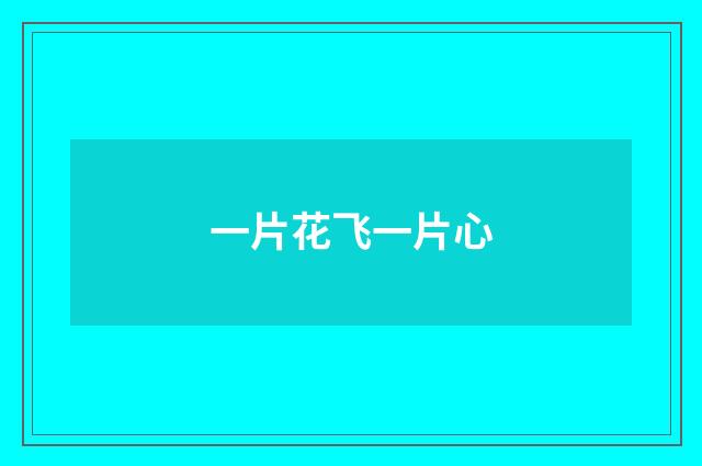 一片花飞一片心