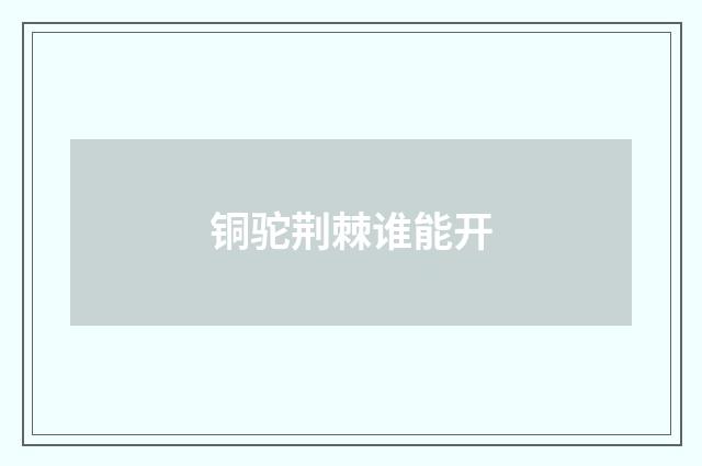 铜驼荆棘谁能开