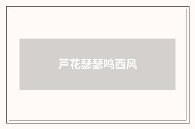 芦花瑟瑟鸣西风