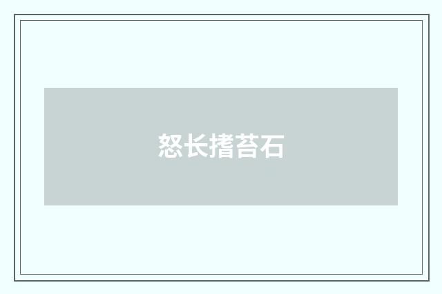 怒长搘苔石