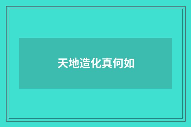 天地造化真何如